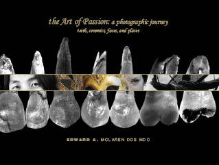 The Art of Passion: a photographic journey 