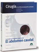 Cirugia en la clinica de pequeños animales El abdomen caudal - J. Rodríguez Gómez/M.J Martínez Sañudo/ J. Graus Morales