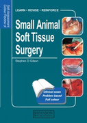 Small Animal Soft Tissue Surgery- S.Gilson
