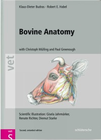 Bovine Anatomy.An Illustrated Text - K.Budras/R.Habel/C.Mülling/P.Greenough