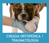 Cirugía Ortopédica/Trauma. Vet