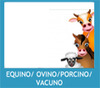 Equino/Ovino/Porcino/Vacuno