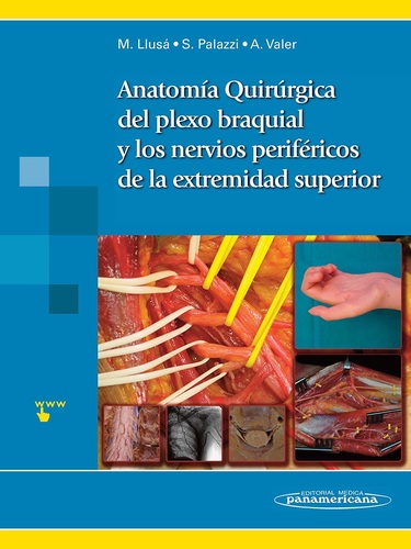 Anatomía Quirúrgica del plexo braquial y nervios periféricos de la extremidad superior - Llusá Pérez / Palazzi Coll / Valer Tito