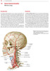 Atlas de ultrasonido de cabeza y cuello + DVD - Iro / Bozzato / Zenk