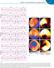 Imagenologia cardiovascular multimodal. Principios y aplicaciones clinicas + DVD - Pahlm / Wagner