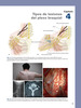 Atlas de Cirugía del Nervio Periférico - H. Kim / Hudson / G. Kline