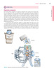Cirugía Colorrectal: Operaciones abdominales - D. Wexner / W. Fleshman