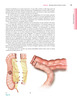 Cirugía Colorrectal: Operaciones abdominales - D. Wexner / W. Fleshman