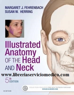 ILLUSTRATED ANATOMY OF THE HEAD AND NECK - Fehrenbach / Herring