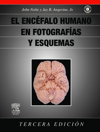 EL ENCEFALO HUMANO EN FOTOGRAFIAS Y ESQUEMAS + CD ROM - Nolte