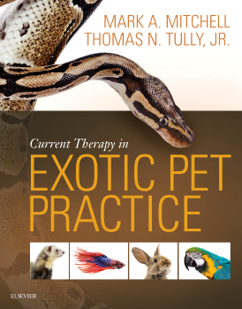 CURRENT THERAPY IN EXOTIC PET PRACTICE - Mitchell