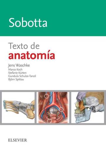 SOBOTTA TEXTO DE ANATOMIA - Waschke