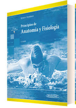 PRINCIPIOS DE ANATOMIA Y FISIOLOGIA Tortora / Derrickson