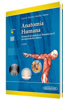 Anatomía Humana : Manual de prácticas basadas en el razonamiento clínico- Guzman