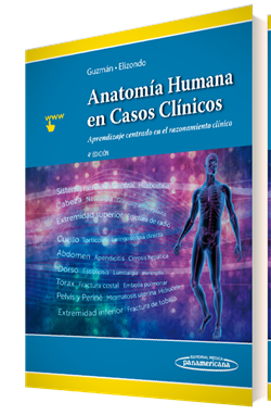 Anatomía Humana en Casos Clínicos :Aprendizaje centrado en el razonamiento clínico -  Guzman