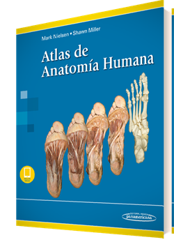 ATLAS DE ANATOMIA HUMANA (Incluye eBook)- Nielsen