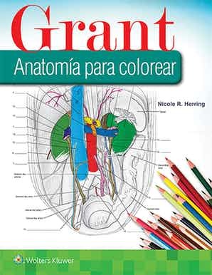 Grant Anatomía para colorear - Nicole Herring 