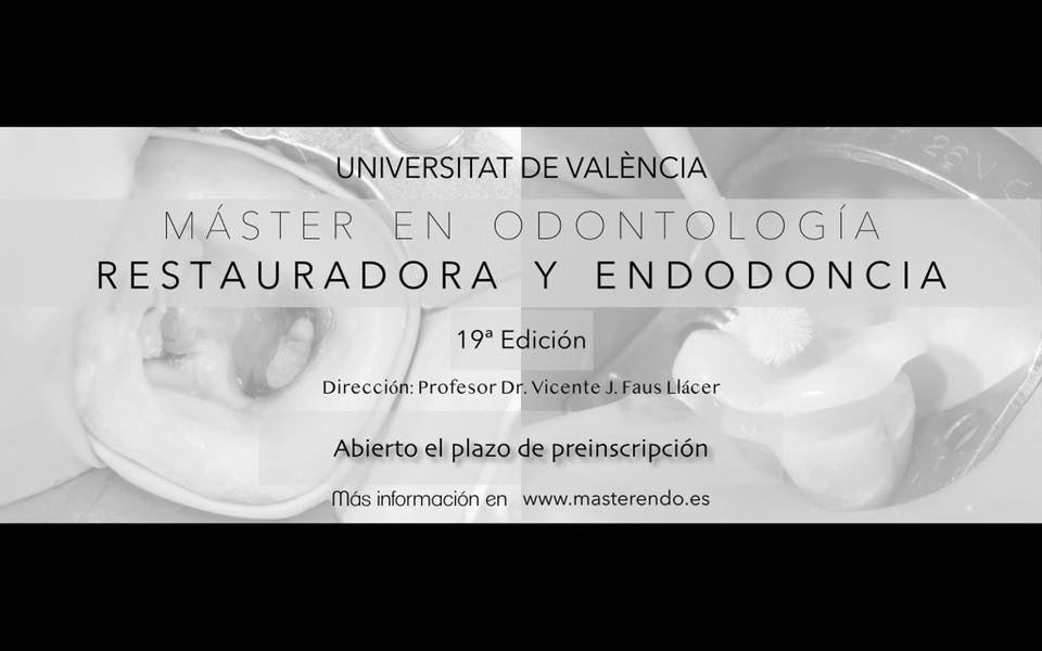19 MASTER EN ODONTOLOGIA RESTAURADORA Y ENDODONCIA UNIVERSIDAD DE VALENCIA PROF. VICENTE FAUS