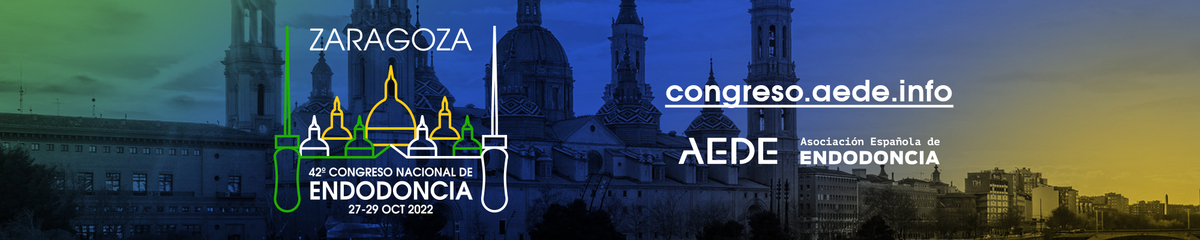 42 Congreso AEDE Zaragoza 2022